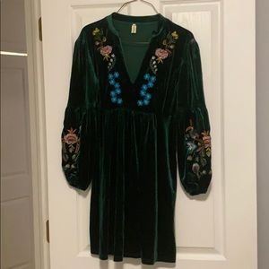 Velvet embroidered dress